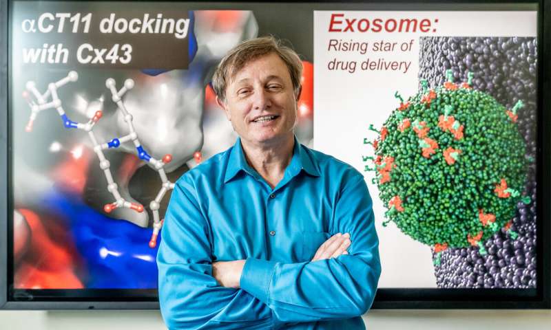 新分子可以帮助改善心脏病发作的恢复