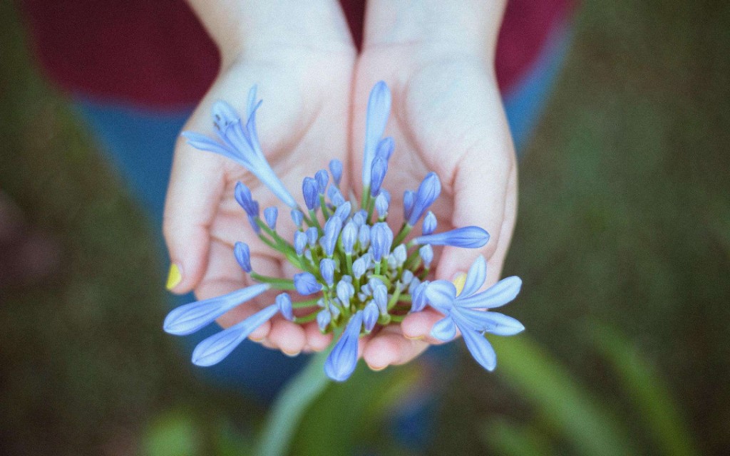 非主流葬爱家族背景图,非主流葬爱家族图片搞笑