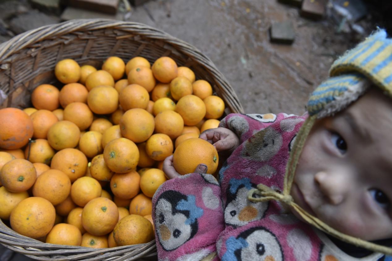 免狐扶贫项目上线，为麻阳甜橙解决销路难题