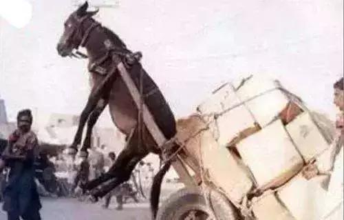 知识积累一分钟快速了解边缘计算,边缘计算通俗易懂解释