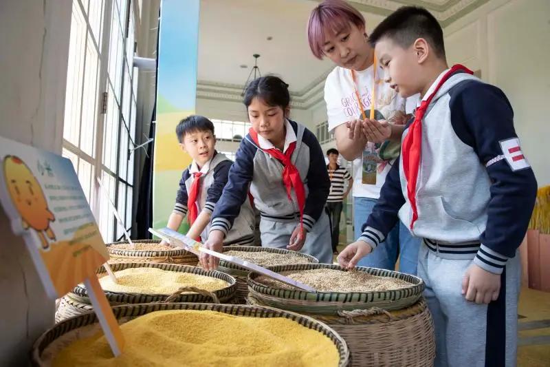 小学生学习创意金点子,小学生的金点子有哪些