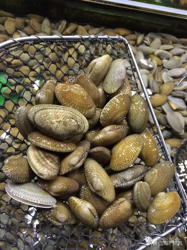 这些诱人的美食你吃过吗,世界上顶级海鲜大全你吃过几种