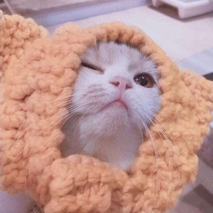 头像|双十一过节攻略：删支付宝淘宝京东解绑银行卡不谢