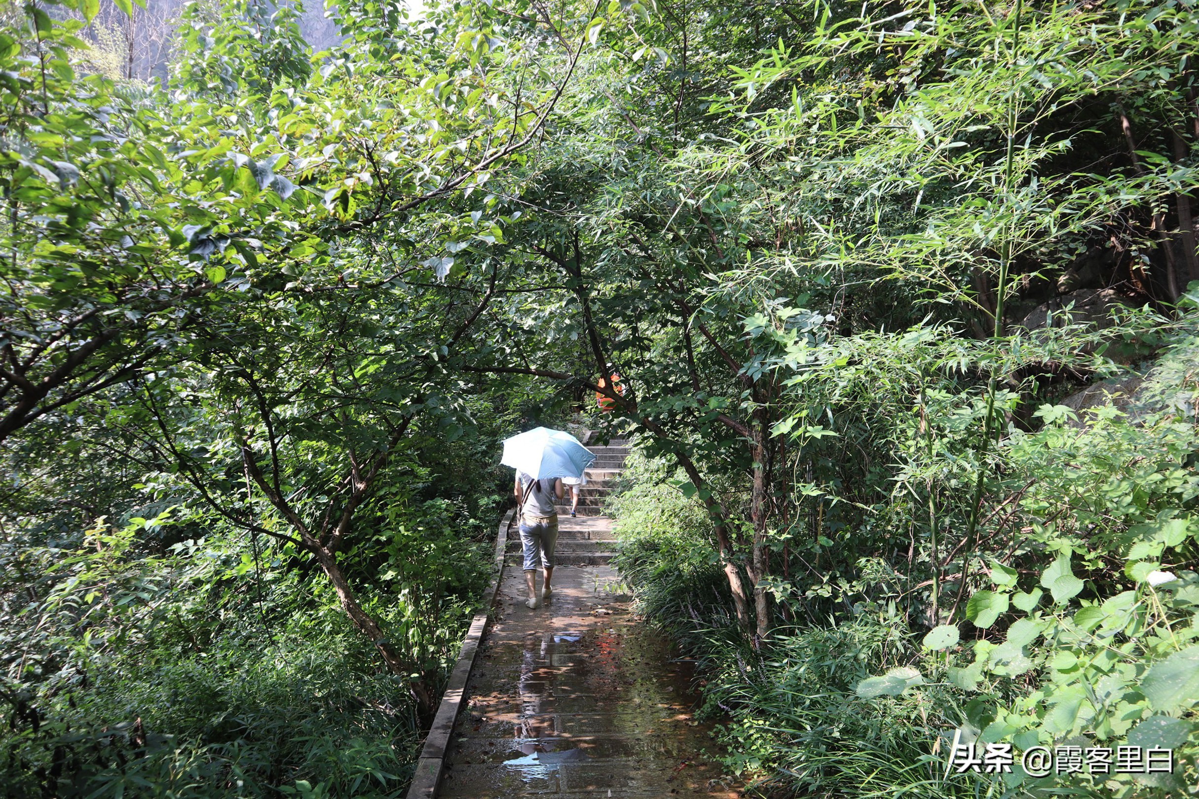 南召宝天曼旅游路线推荐,南召周边山水景区推荐景点