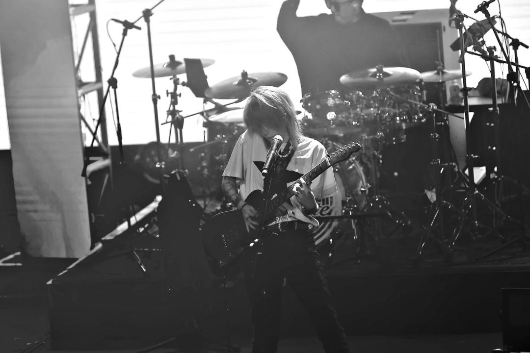 乐夏第三季乐队黑马,乐夏2黑马白皮书