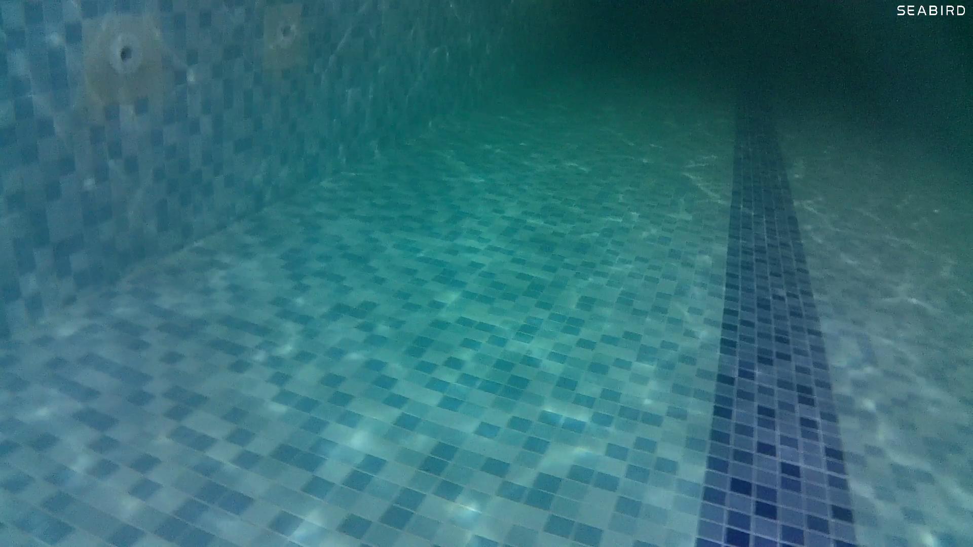 水下摄影4k,海鸟4k运动相机深度评测