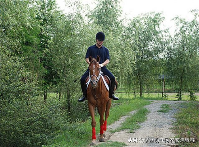 天津蓟县梨木台景区住宿,天津蓟州区梨木台农家院