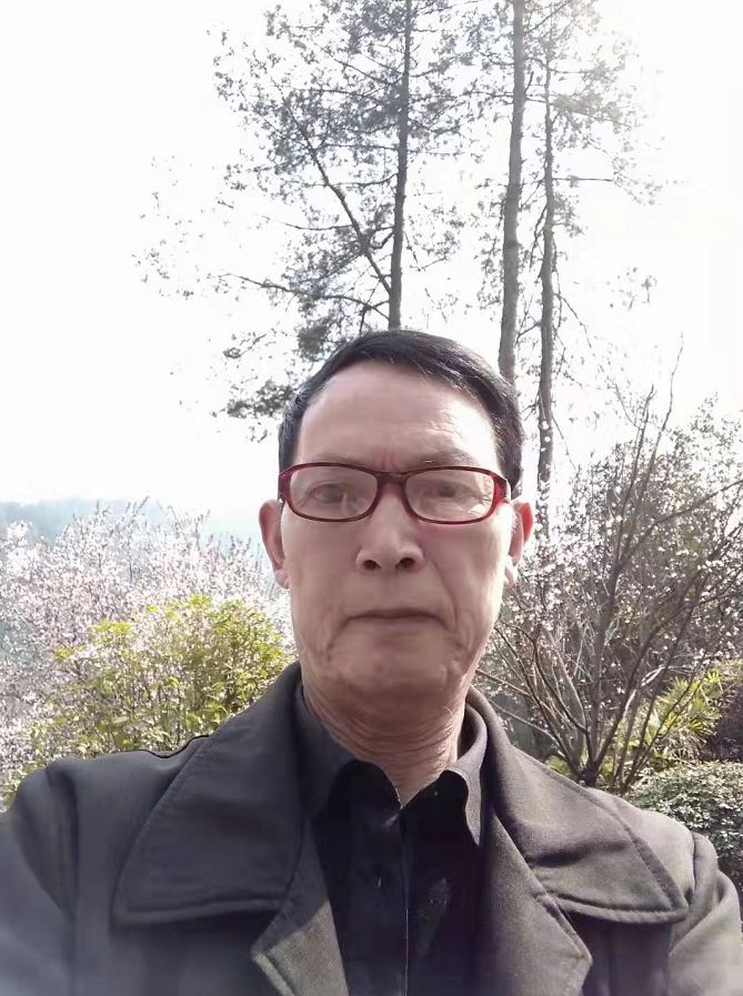 李遂生文学作品,李遂生