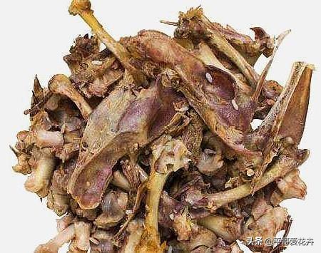 垃圾堆里捡回一盆花,垃圾变废为宝怎么养花