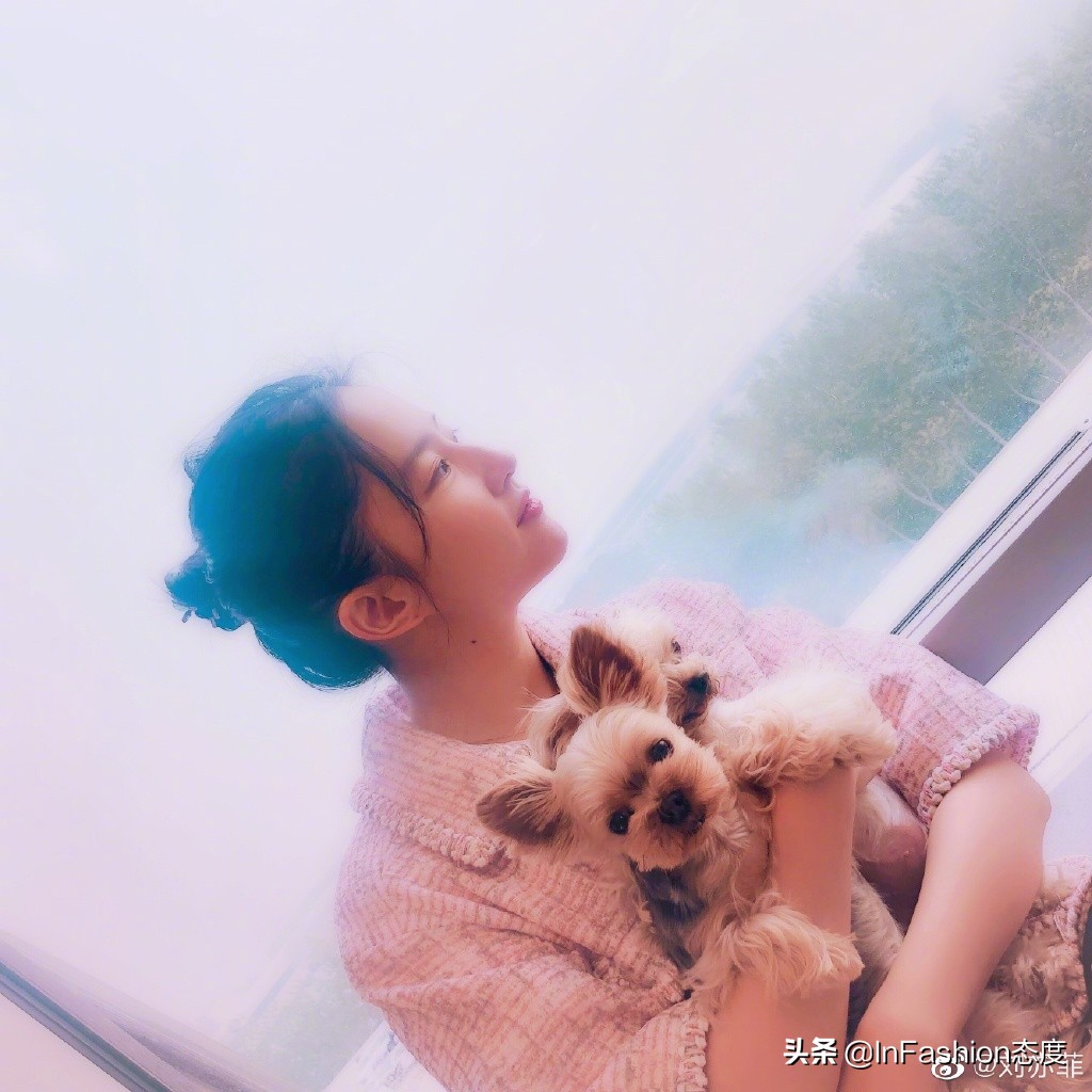 刘亦菲确认下一部新剧了吗,刘亦菲一身露腰造型亮相机场