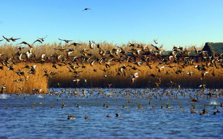 上海周边休闲自驾游攻略路线推荐,上海周边旅游自驾游攻略路线大全