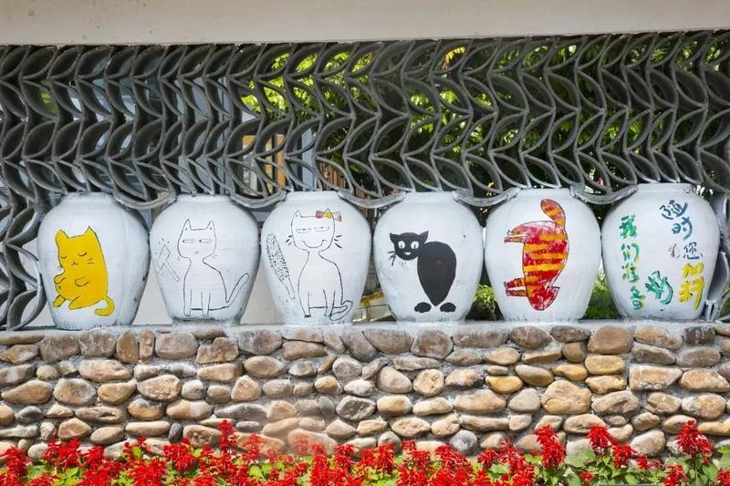 蕉岭县三圳镇九岭村景点介绍,梅州蕉岭三圳九岭村抖音