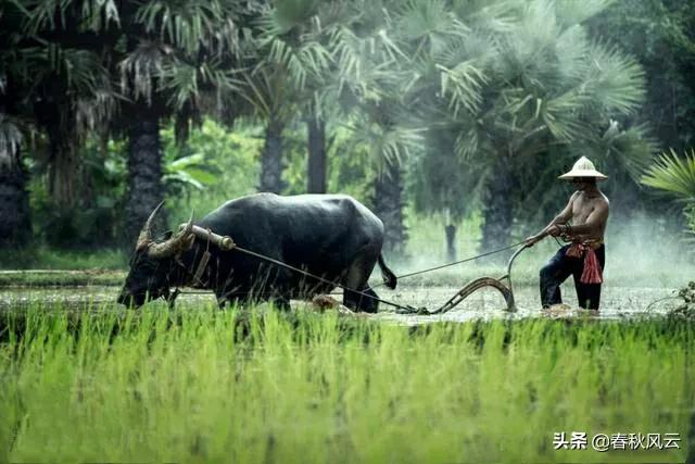 无法送达的问侯：松滋姑娘，你还好吗？