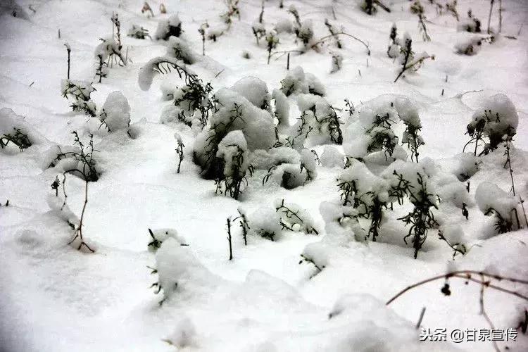 延安2019年第一次下雪是什么时候,延安初雪的时候