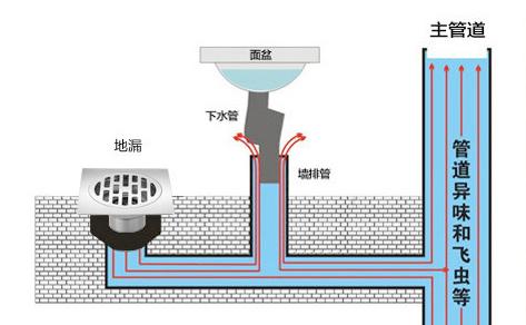 墙排下水管道反臭怎么处理,怎样消除下水管道反臭