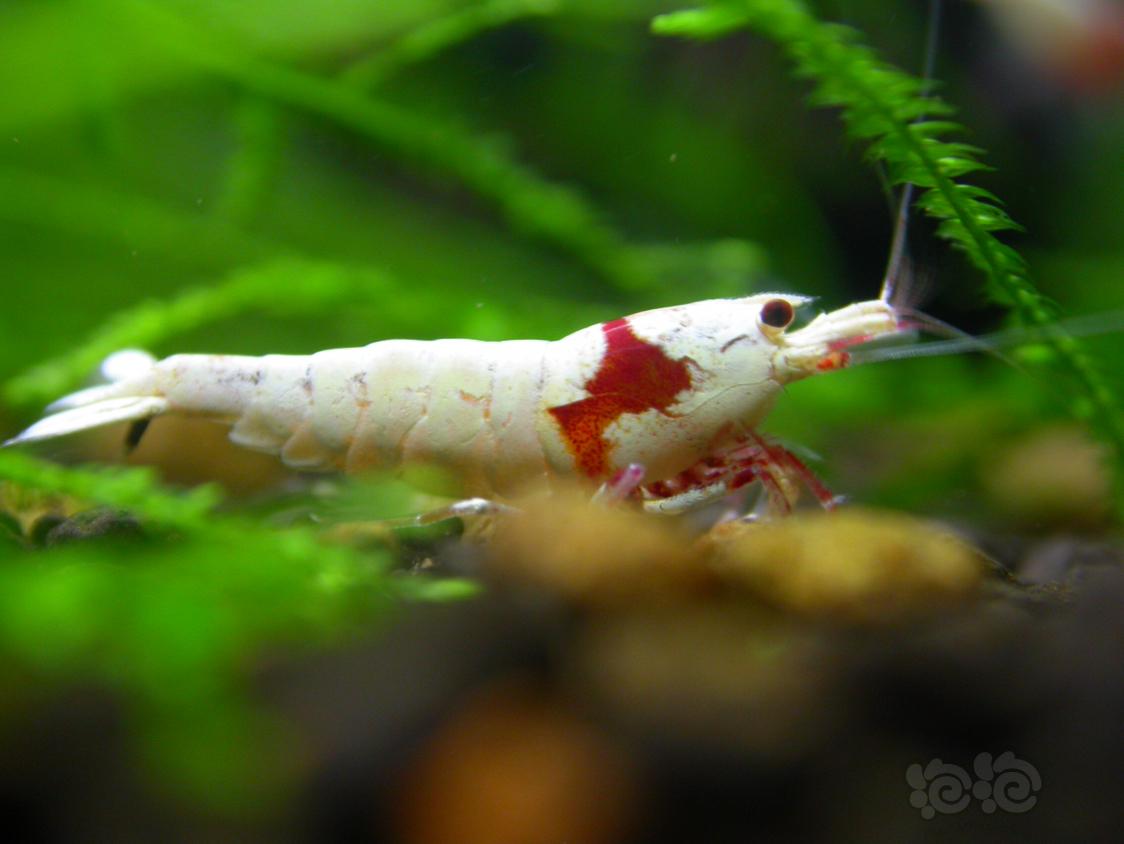 分享养鱼经验,分享水产创业经验