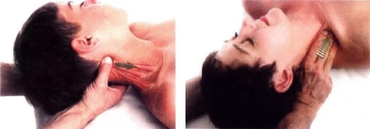 肩胛背神经卡压与颈椎病的区别,肩颈神经压迫会脖子痛吗