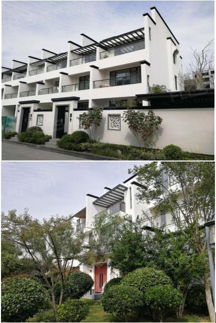 鍚戝線涔嬪,鍚戝線涔嬪瑁呴グ