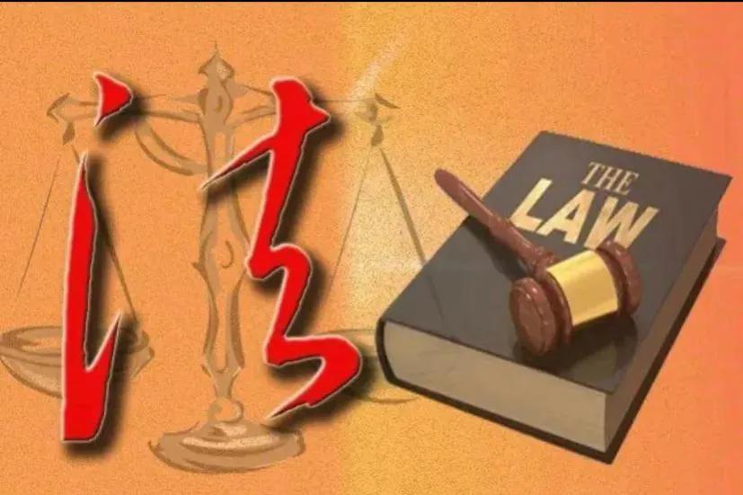 民法典有关于养狗的条款吗,养狗不牵绳犯法吗民法典明确了