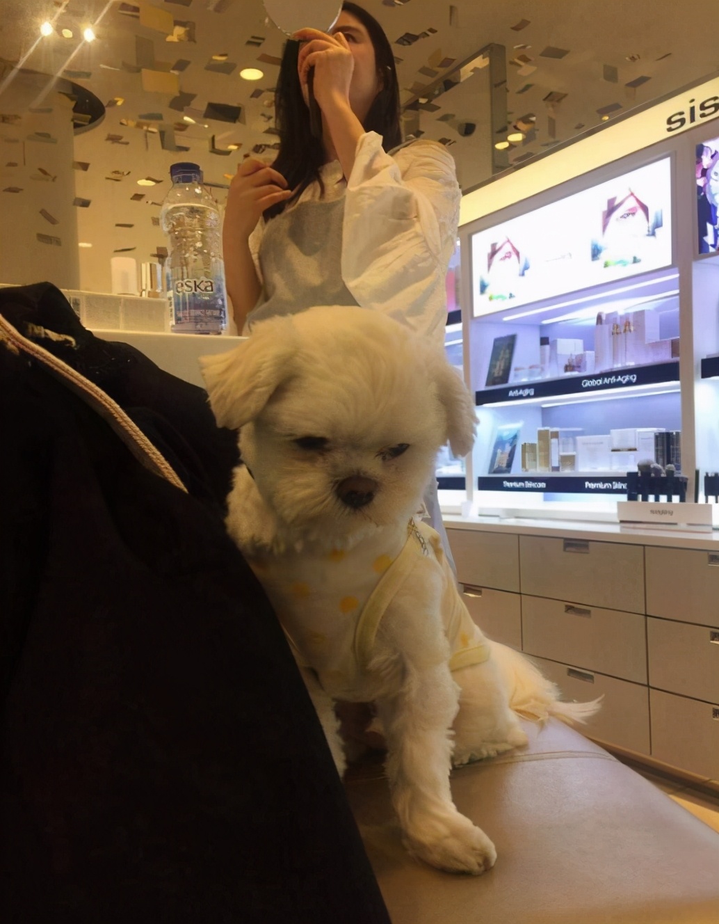 王祖贤出家照,王祖贤现状在哪皈依佛门