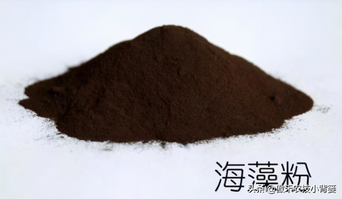 腐植酸氨基酸鱼蛋白肥料哪个更好,有机质肥料腐植酸海藻酸成分高吗