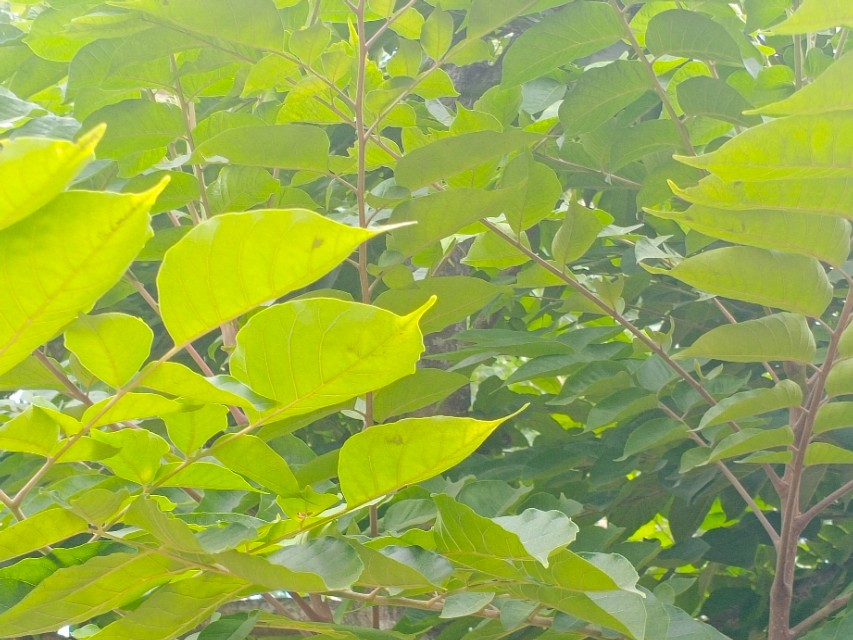 我的第一块智能手表,我的第一块运动手表