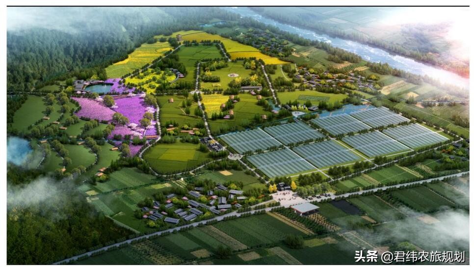 温室花卉种苗培育项目实施内容,农业花卉种植基地建设项目