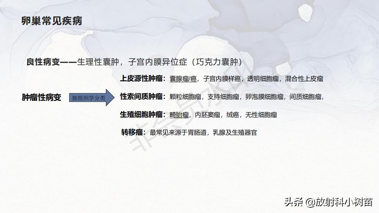 女性盆腔mri解剖图谱,泌尿生殖系统x线解剖