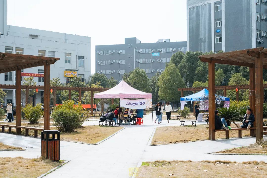 自从藏龙岛有了南延线,我就再没羡慕过别人家的学校!