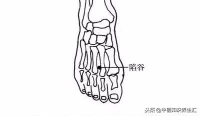 乳腺结节少吃含雌激素的食物,乳腺增生结节坚持调理不断改善