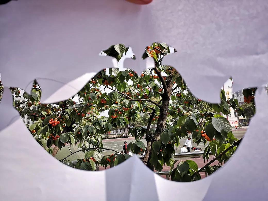 成都市双流区胜利幼儿园主题活动,天府新区幼儿园活动