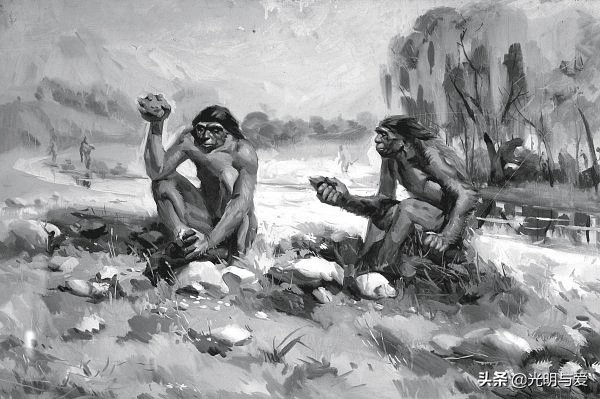 类人猿违背进化论疑点,进化论中的疑点是什么