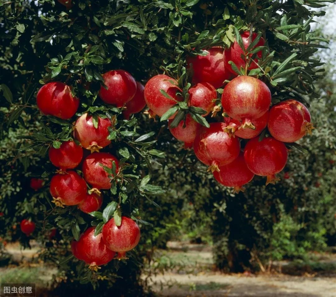 牛街属于南城吗,牛街名字的由来