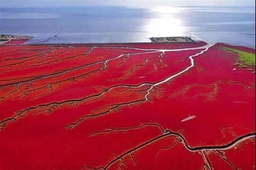 东北温泉旅游攻略,东北三省冬天旅游必去十大景点