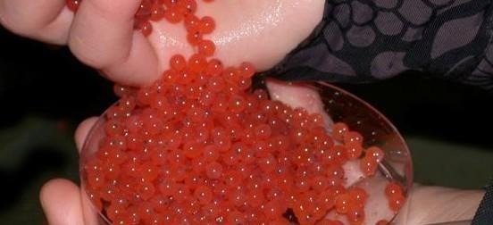 好吃的海鲜生吃有哪些,各种海鲜的经典吃法