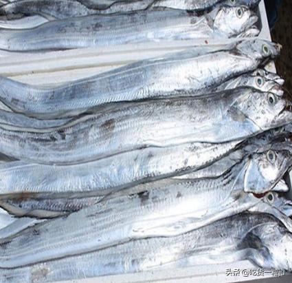 带鱼为啥价格相差那么多,带鱼价钱为什么差别那么大