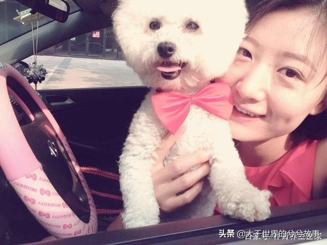 孕早期能接触狗狗吗,怀孕一定要远离狗狗吗