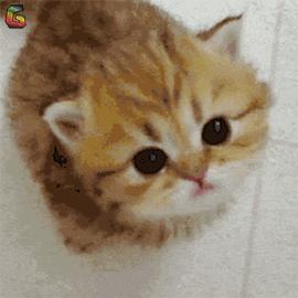 要肌肤像剥了壳的鸡蛋？你对斑了解多少？