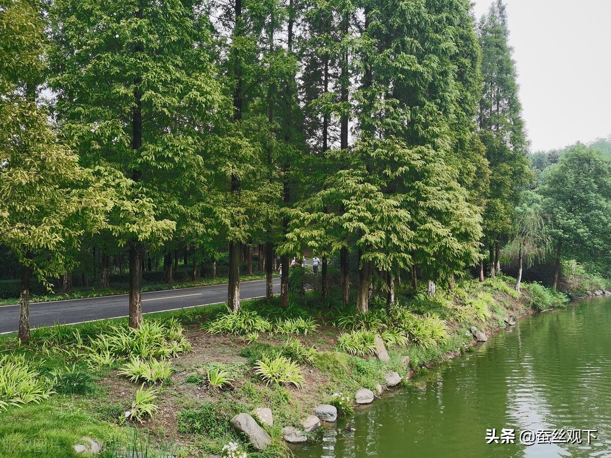 无锡宜兴百强县多少名,百强县排名宜兴有超过江阴的吗