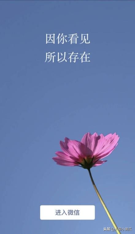 微信被永久封号了怎么解除封号,最新规定微信在什么情况下封号