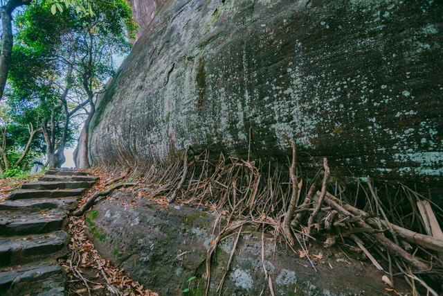叮当猫还玩81式吗,叮当猫还玩率土之滨吗