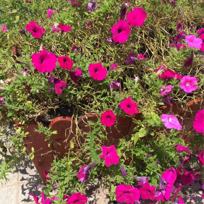 怎么改掉自己多疑性格,性格敏感多疑的女人怎么办