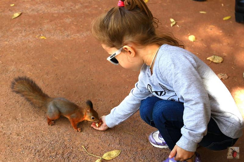 奢华宏伟,绝美的风景俄罗斯