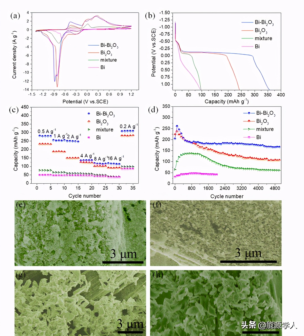 吉大郑伟涛团队ESM：“Bi”出于“Bi”而胜于“Bi”
