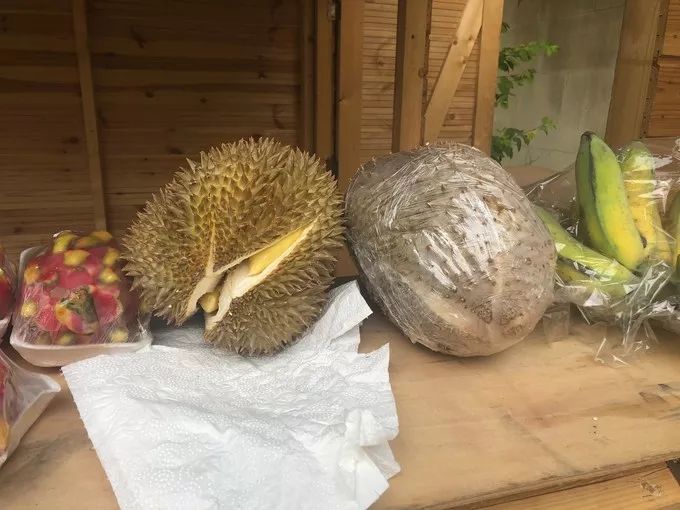 匈牙利文化节,匈牙利布达佩斯活动