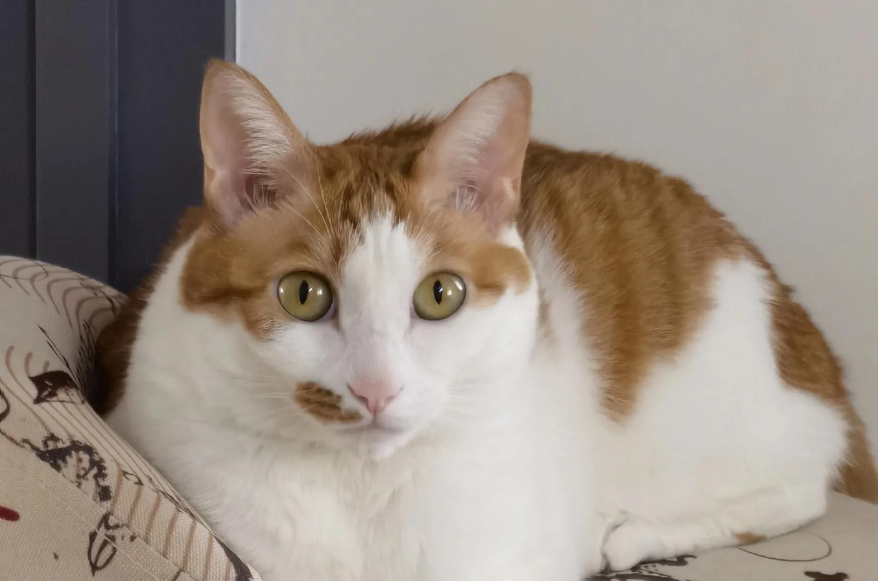 为什么一旦睡不着就很难入睡,一到深夜特别清醒睡不着怎么办