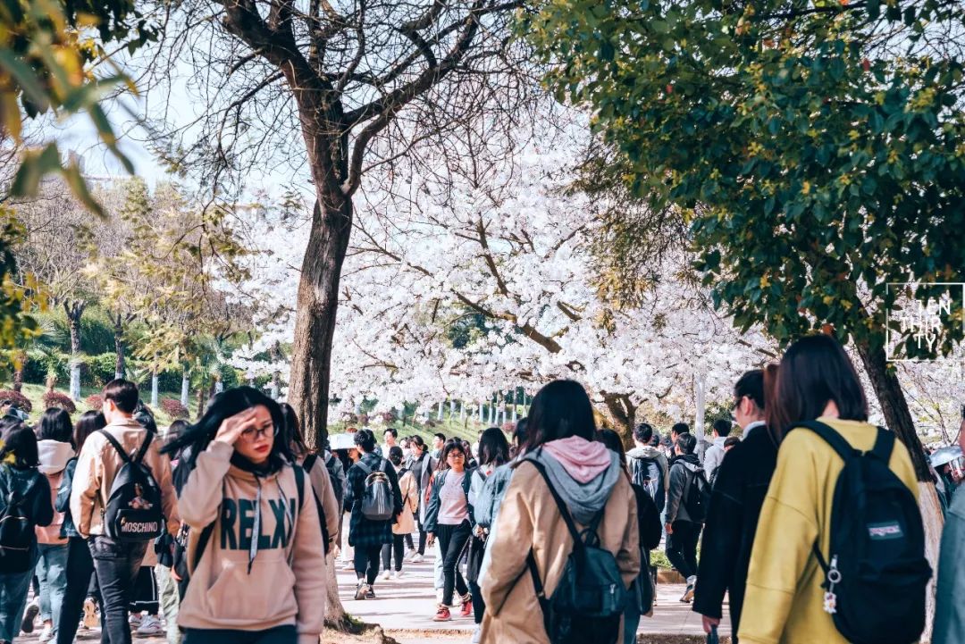 湖北经济学院为什么叫藏龙岛,湖北经济学院在江夏藏龙岛吗