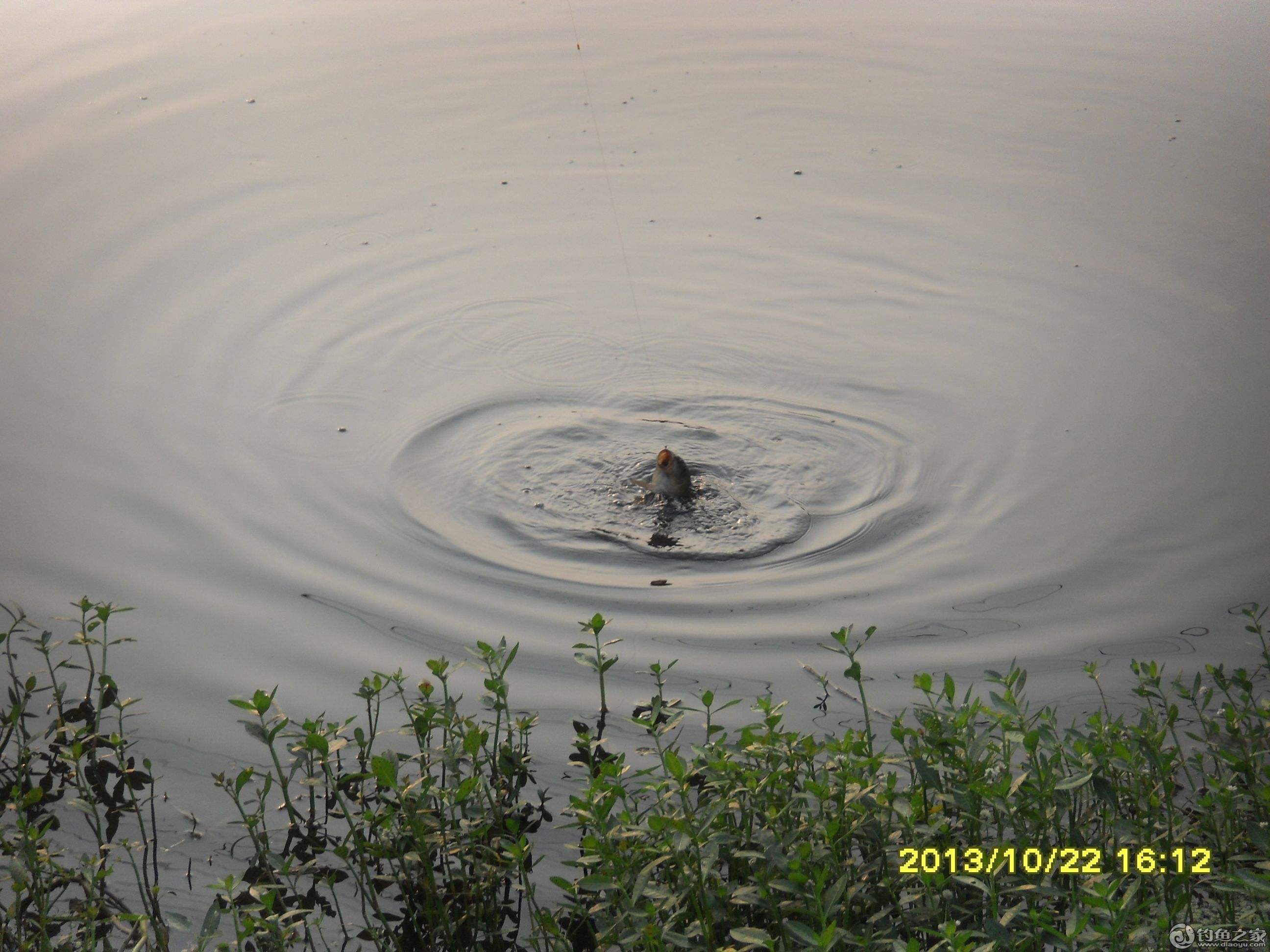 为啥钓鱼总是脱钩或者断线,钓鱼断线的原因分析及预防