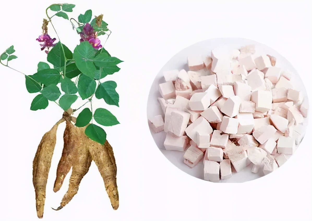 生津止渴益气除烦的药葛根,葛根里的解肌退热是什么意思