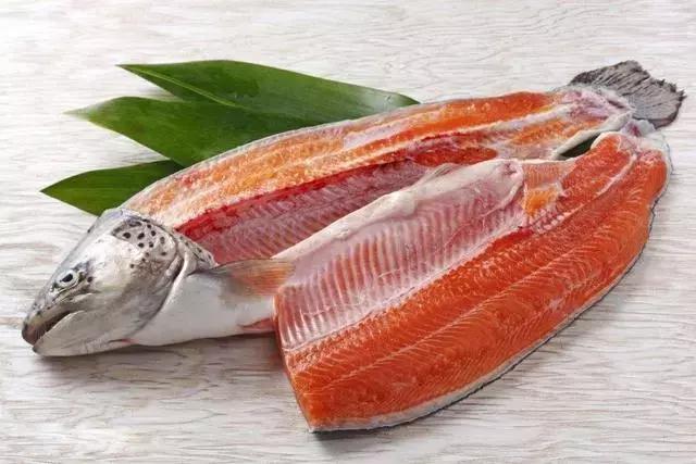 三文鱼给宝宝吃有什么好处,北极贝和三文鱼哪个营养高